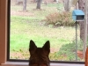 Guard Duty