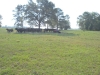 Moving Cows