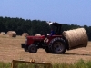 Kaleb moving hay to the barn