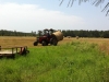 Hay headed to the barn