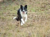 Buell, Best Ranch Hand